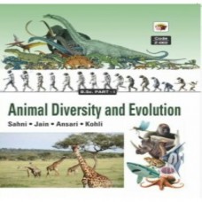 Animal Diversity And Evolution