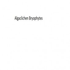 Algaclichen Bryophytes