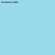 Company vidhi