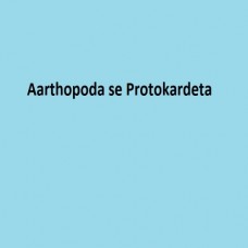 Aarthopoda se Protokardeta